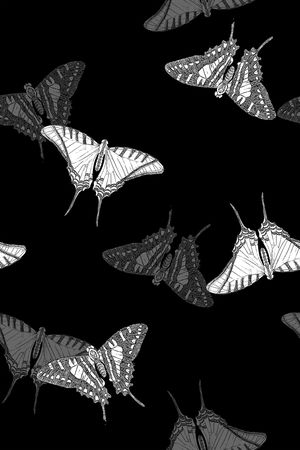 蝴蝶印花华亿平台图片