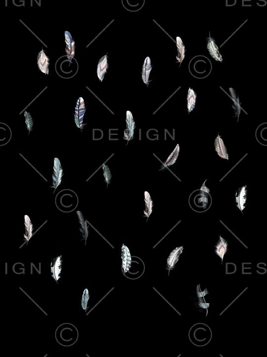 羽毛印花华亿平台图片