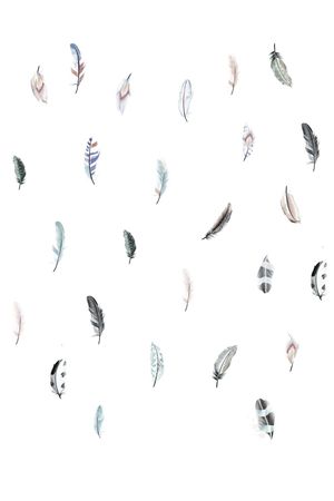 羽毛印花华亿平台图片