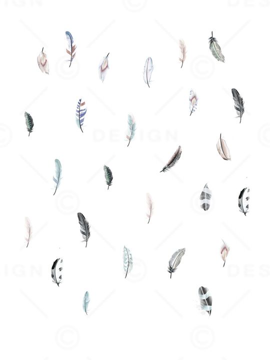 羽毛印花华亿平台图片