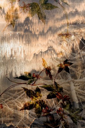 布纹印花华亿平台图片