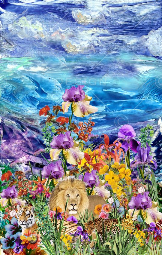 动物印花华亿平台图片