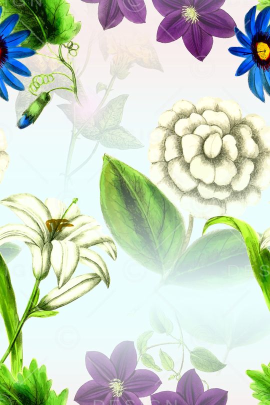 菊花印花华亿平台图片