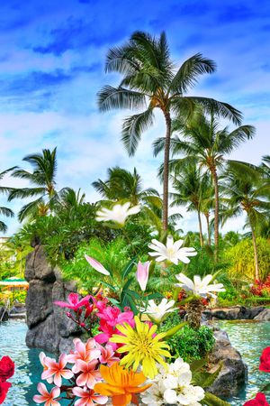 女装印花华亿平台图片