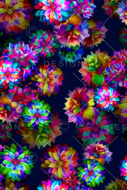 菊花印花华亿平台图片