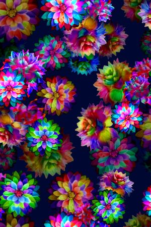 菊花印花华亿平台图片