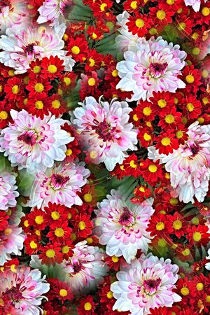 大花印花华亿平台图片