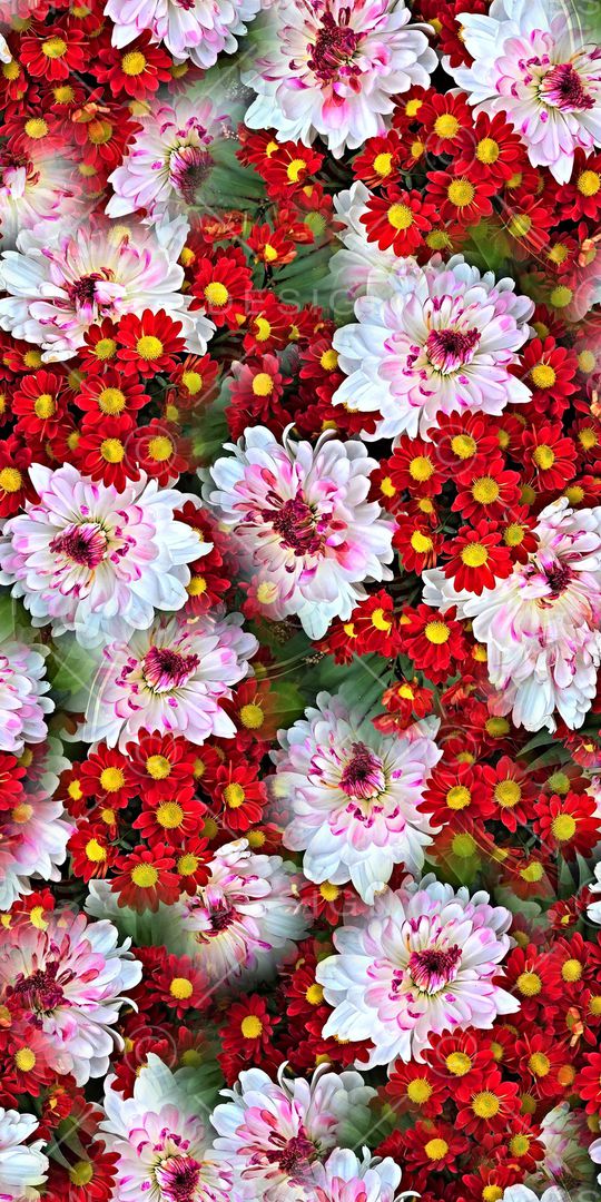 大花印花华亿平台图片