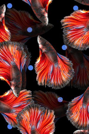 解构印花华亿平台图片