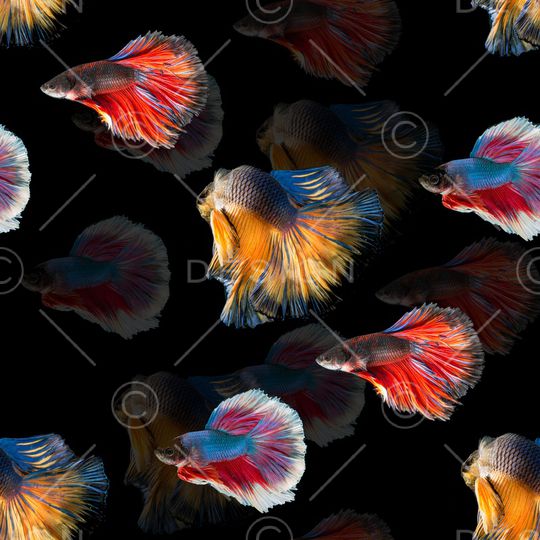 风景印花华亿平台图片