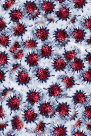 露珠印花华亿平台图片