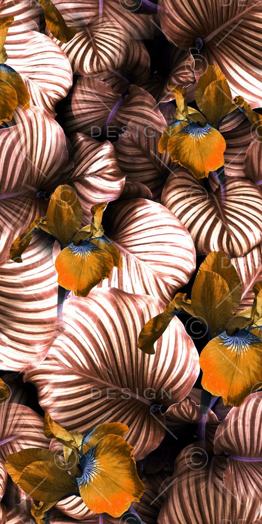 大花印花华亿平台图片