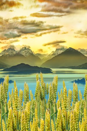 女装印花华亿平台图片