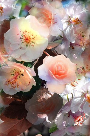 大花印花华亿平台图片