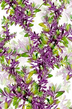 热带印花华亿平台图片