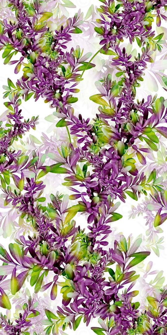 热带印花华亿平台图片