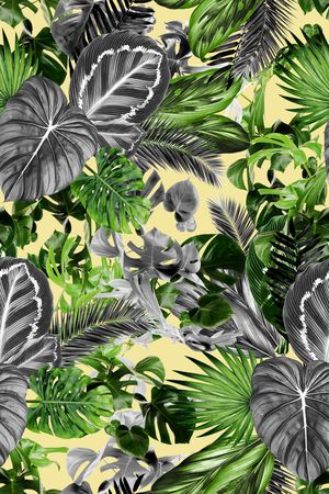 Tropical印花华亿平台图片