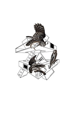 老鹰印花华亿平台图片