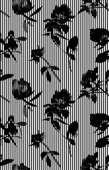 858560-水墨竖条花卉