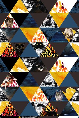 Geometric印花华亿平台图片