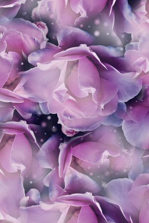 数码印花印花华亿平台图片