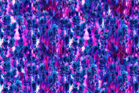 朦胧印花华亿平台图片