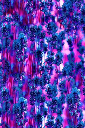 朦胧印花华亿平台图片