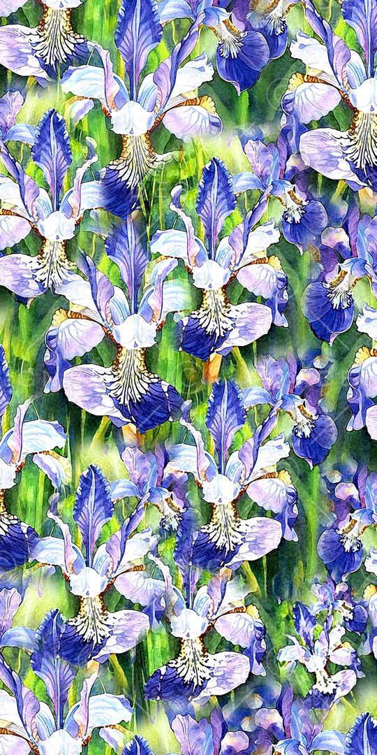 油画印花华亿平台图片