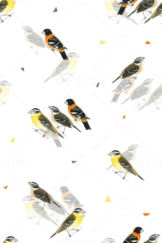 小鸟印花华亿平台图片