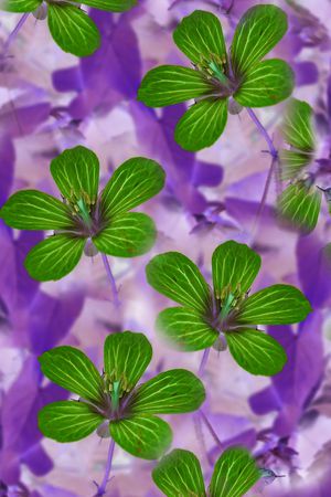 小碎花印花华亿平台图片