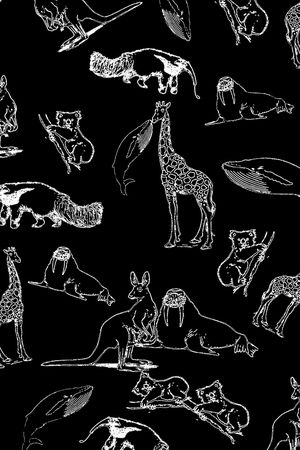 动物印花华亿平台图片