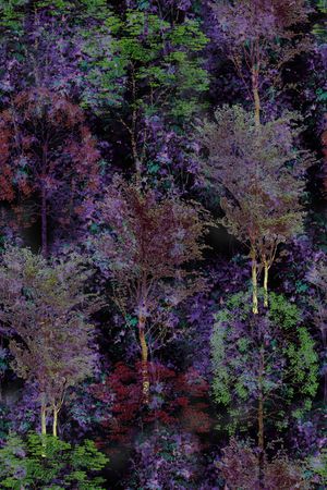 树纹印花华亿平台图片