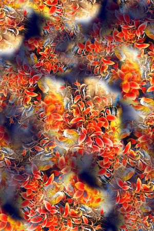 叶子鸟印花华亿平台图片