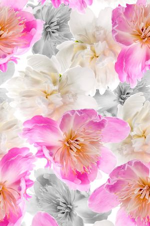 洋阳---花卉印花华亿平台图片