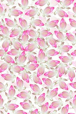 女装印花华亿平台图片