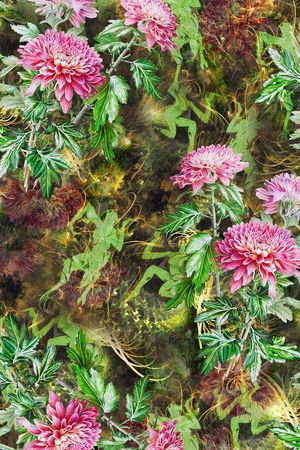 罂粟花印花华亿平台图片