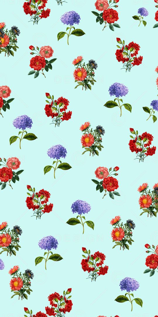 牵牛花印花华亿平台图片