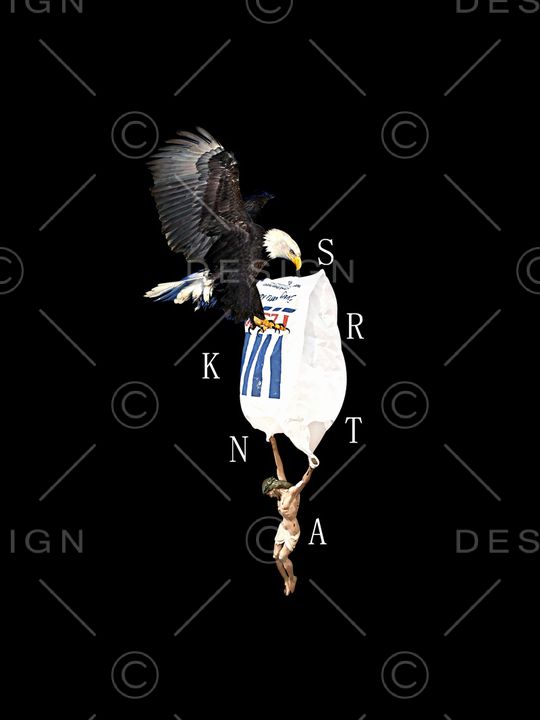 老鹰印花华亿平台图片