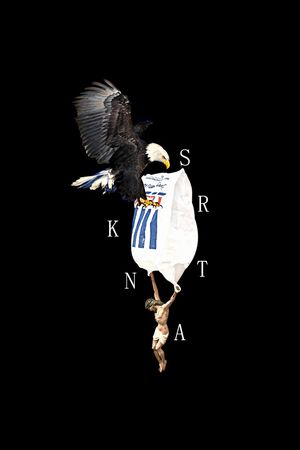 老鹰印花华亿平台图片