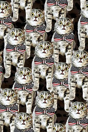 欧美复古大牌女装夹克外套卫衣衬衫印花印花华亿平台图片