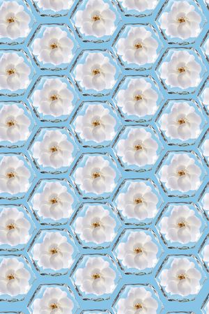 碎花印花华亿平台图片