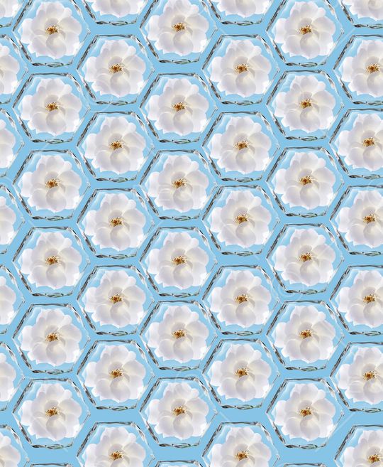 碎花印花华亿平台图片