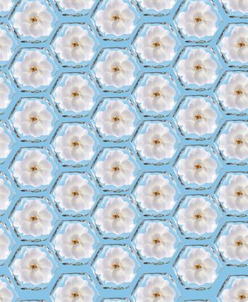 860069-th20170846分层