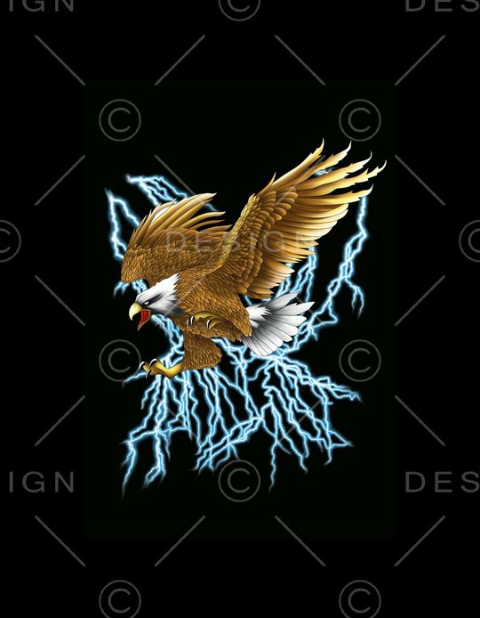 大牌印花华亿平台图片