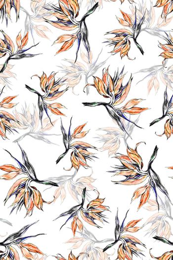 热带印花华亿平台图片