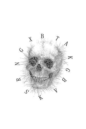 骷髅头印花华亿平台图片