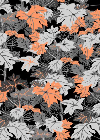 860347-2017-5-28-a-2