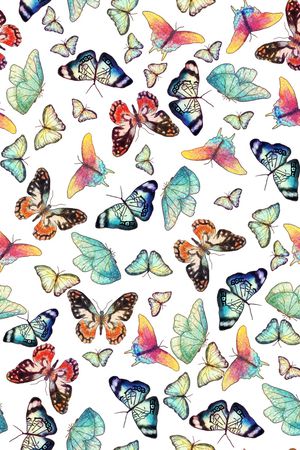 蝴蝶印花华亿平台图片