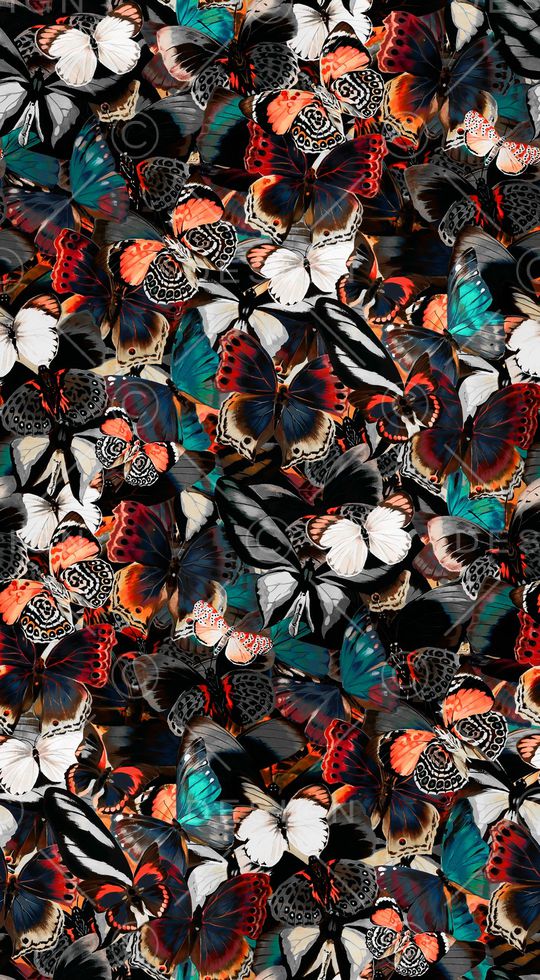 蝴蝶印花华亿平台图片