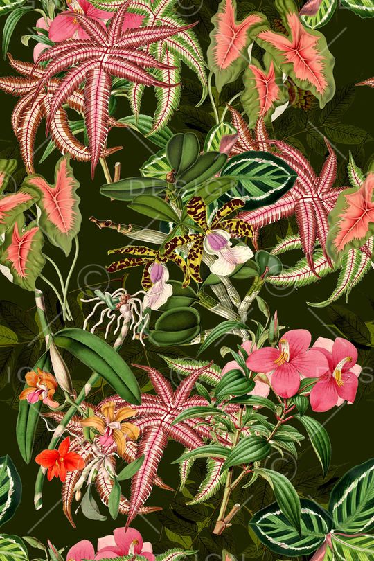 时尚印花华亿平台图片